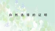 人教统编版选择性必修 下册13.1 自然选择的证明教案配套课件ppt
