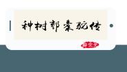 语文选择性必修 下册11 *种树郭橐驼传背景图课件ppt