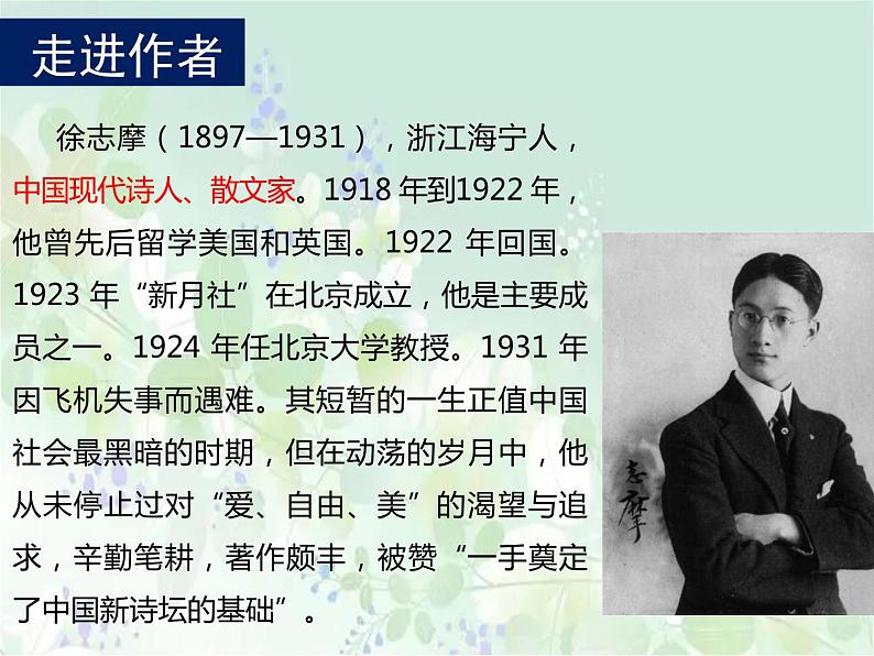 《再别康桥》课件9第4页