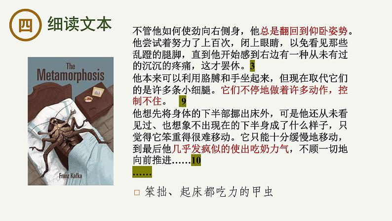 14.2《变形记》-2023-2024学年高一下学期语文大单元教学同步备课课件(统编版必修下册)06
