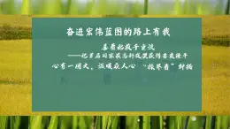 部编版2024高中语文必修上册第二单元第一课《喜看稻菽千重浪》群文阅读课件