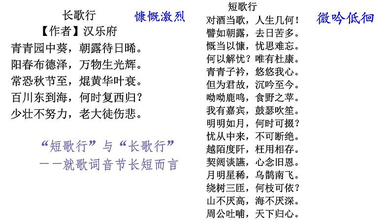 部编版2024高中语文必修上册第三单元第一课《短歌行》课件第5页