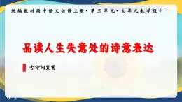 第3单元写作课—学写文学短评 课件   统编版高中语文必修上册