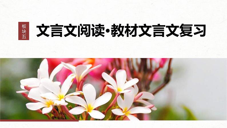 新高考语文一轮复习课件板块5 第1部分 教材内文言文复习 课时36 《种树郭橐驼传》《石钟山记》第1页