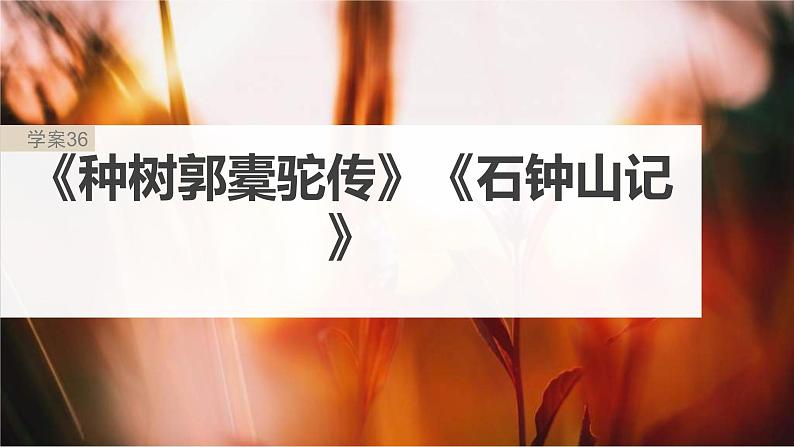 新高考语文一轮复习课件板块5 第1部分 教材内文言文复习 课时36 《种树郭橐驼传》《石钟山记》第2页