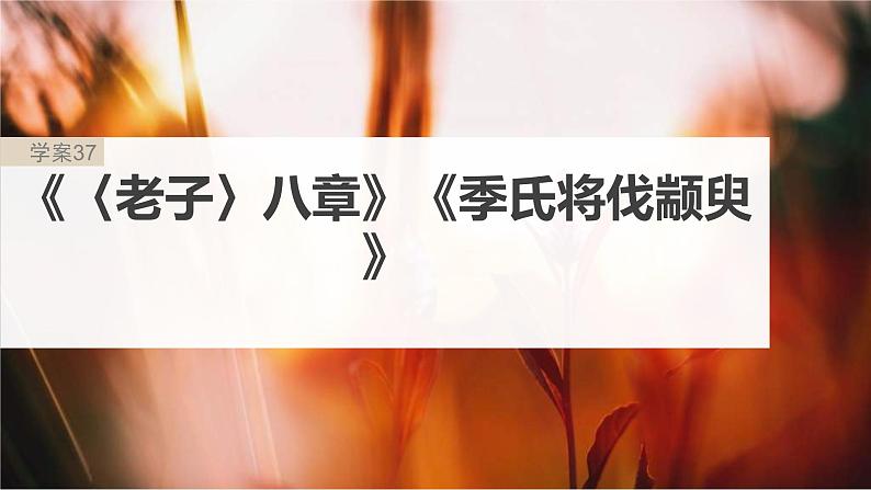 新高考语文一轮复习课件板块5 第1部分 教材内文言文复习 课时37 《〈老子〉八章》《季氏将伐颛臾》02