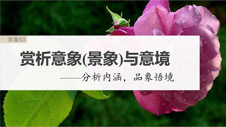 新高考语文一轮复习课件板块6 古诗词阅读与鉴赏 课时53 赏析意象(景象)与意境——分析内涵,品象悟境第2页