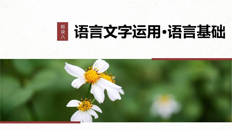 新高考语文一轮复习课件板块8 第1部分 语言基础 课时62 正确使用成语(一)——积累有法,记形识义第1页
