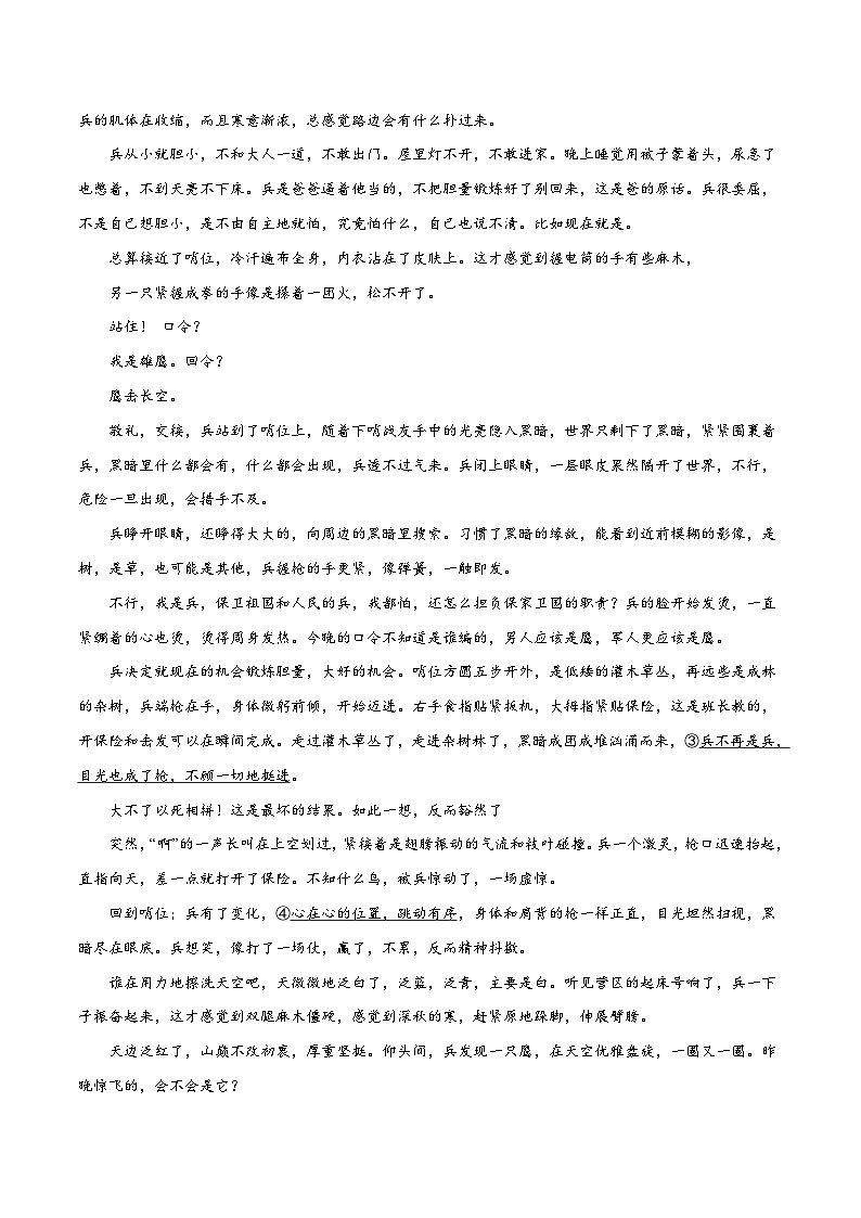 新高考语文二轮复习考点追踪练习08 文学类文本阅读小说之综合探究分析(分层训练)(原卷版)第2页