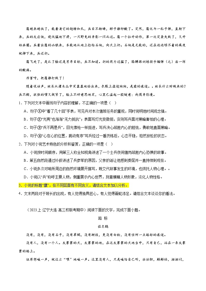 新高考语文二轮复习考点追踪练习08 文学类文本阅读小说之综合探究分析(分层训练)(原卷版)第3页