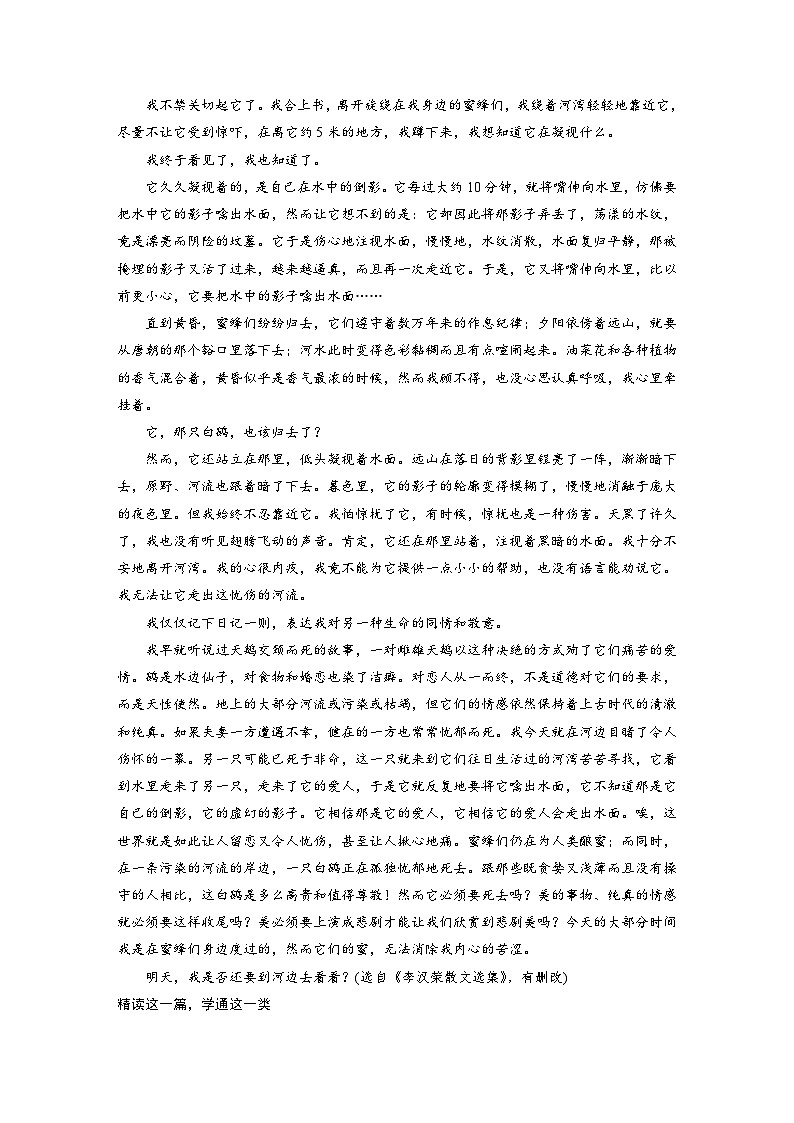 新高考语文一轮复习学案散文阅读课时65精准分析概括形象——因形悟神,立象尽意第3页
