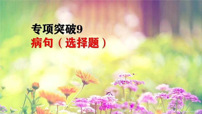2022届高考语文专题复习:病句(选择题)专项突破 课件01