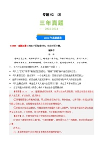 三年（2022-2024）高考語(yǔ)文真題分類(lèi)匯編（全國(guó)通用）專(zhuān)題02 詞（解析版）