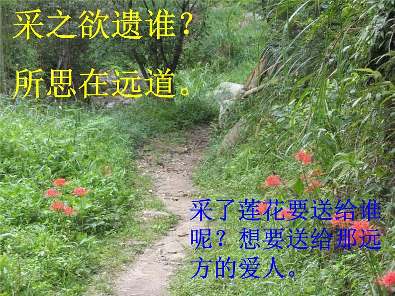 涉江采芙蓉课件 部编版高中语文必修上册ppt08