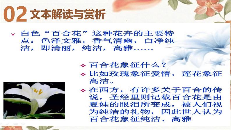 高中语文必修上册第一单元3-1百合花-茹志鹃课件07
