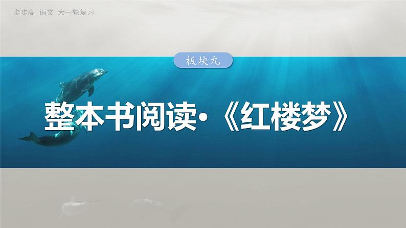 板块九 学案84 赏析人物形象及描写艺术——正邪两赋,圆形立体第3页