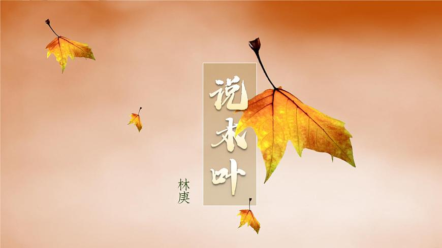 9《說“木葉”》PPT第3頁