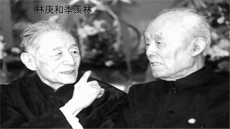 9《說“木葉”》PPT第8頁