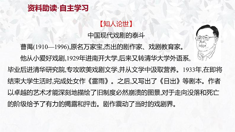 课件:部编版高中语文必修下第二单元 第5课 雷雨(节选) (29)第3页
