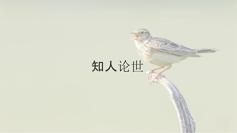 2.4致云雀-2024-2025学年高一语文优质教学课件(统编版必修上册)04