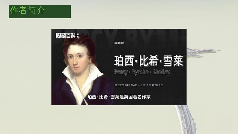 2.4致云雀-2024-2025学年高一语文优质教学课件(统编版必修上册)06
