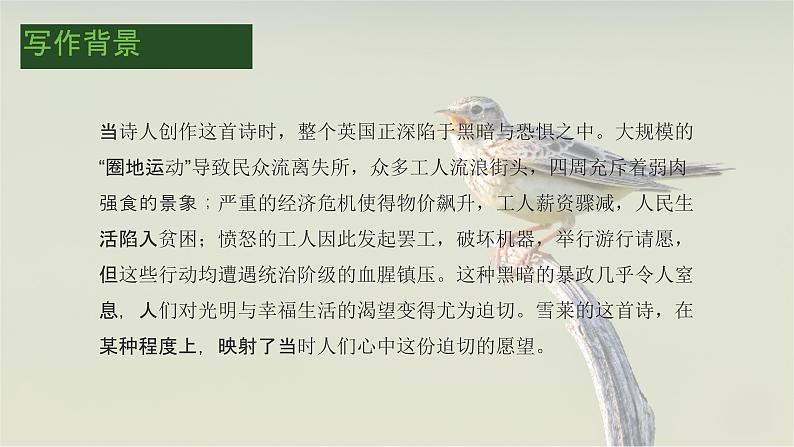 2.4致云雀-2024-2025学年高一语文优质教学课件(统编版必修上册)07