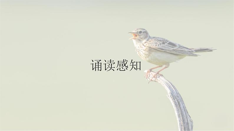 2.4致云雀-2024-2025学年高一语文优质教学课件(统编版必修上册)08