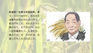 高中语文4.1 喜看稻菽千重浪――记首届国家最高科技奖获得者袁隆平教学课件ppt