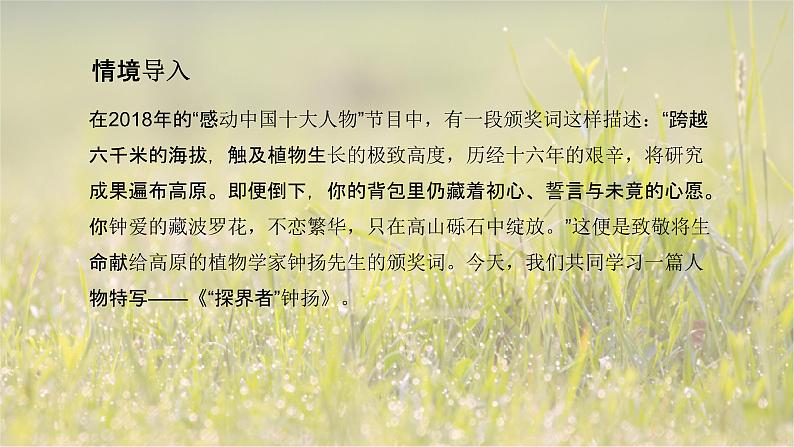 4.3“探界者”钟扬-2024-2025学年高一语文优质教学课件(统编版必修上册)第3页