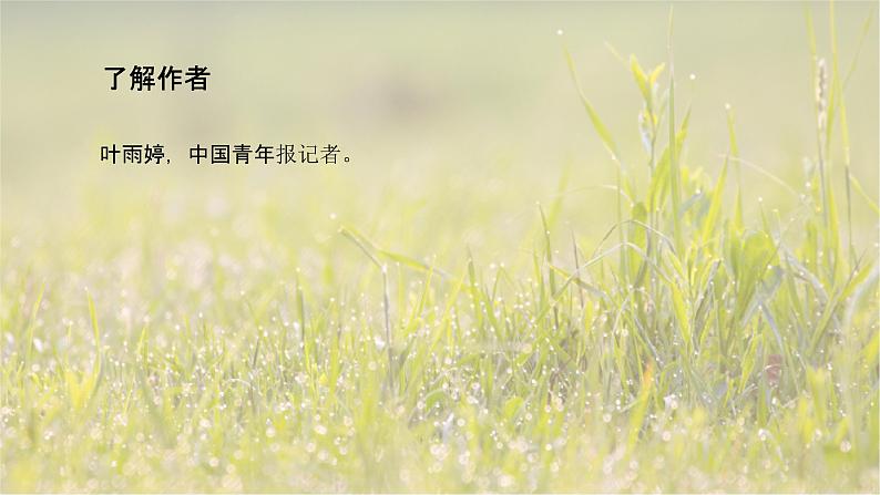 4.3“探界者”钟扬-2024-2025学年高一语文优质教学课件(统编版必修上册)第5页