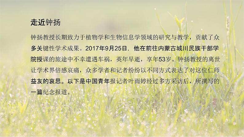 4.3“探界者”钟扬-2024-2025学年高一语文优质教学课件(统编版必修上册)第6页