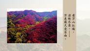 高中语文人教统编版必修 上册14.1 故都的秋教学课件ppt