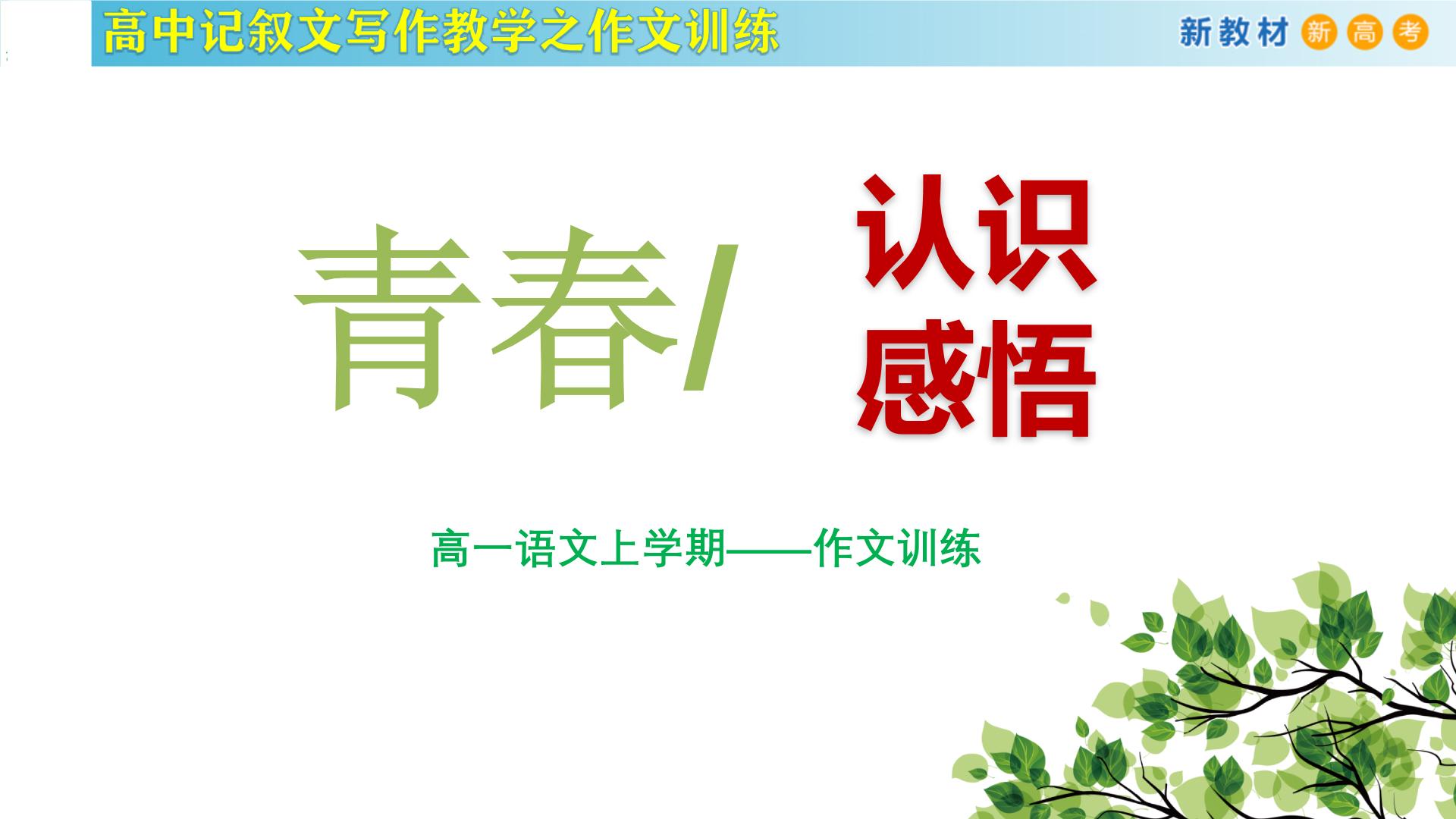 记叙文写作课堂02：《青春的价值》课件-2024-2025学年高一语文全学年记叙文写作教学序列课件