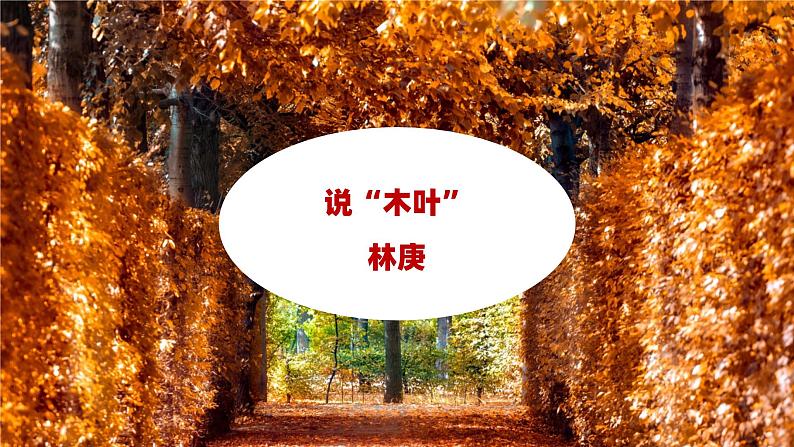 课件:部编版高中语文必修下 第9课 说“木叶”第1页