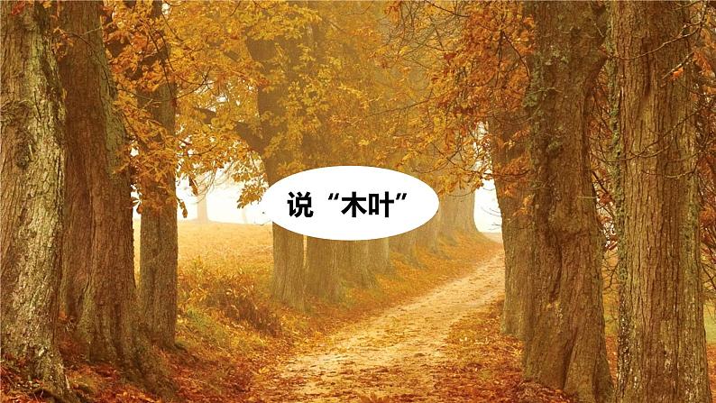 课件:部编版高中语文必修下 第9课 说“木叶”第1页