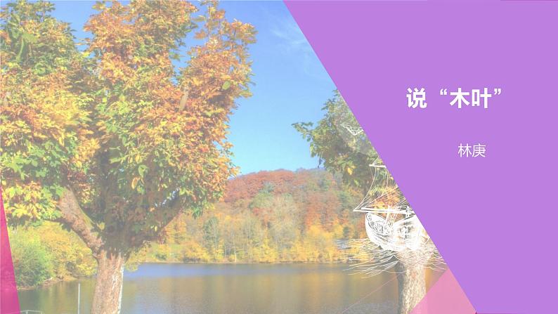 课件:部编版高中语文必修下 第9课 说“木叶”第1页