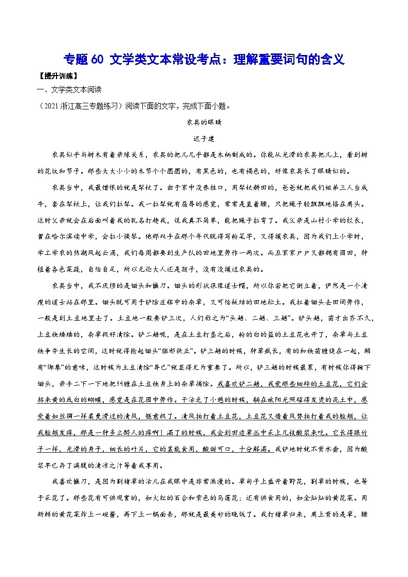 高考语文一轮复习基础考点+新题训练2专题60文学类文本常设考点:理解重要词句的含义(提升训练)(原卷版+解析)第1页