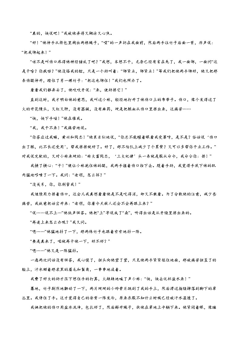 2023年高考语文一轮复习考点帮考点29文学类文本阅读之人物形象同步练习(原卷版+解析)第2页