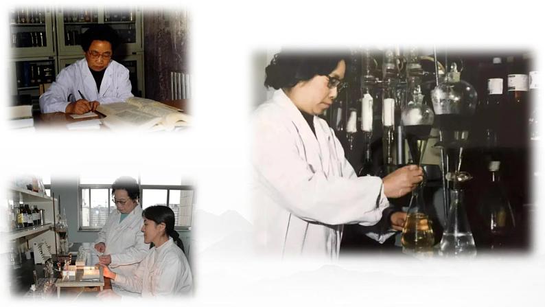 人教统编版必修下册7.1青蒿素:人类征服疾病的一小步课件第3页