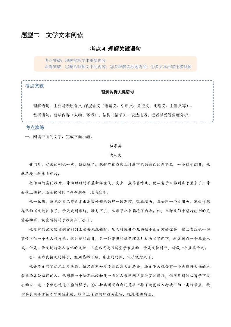 11(文学文本阅读)理解关键语句(教师版)-2024-2025学年新高考地区通用高考语文题型练习01