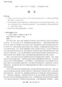 河南省濮阳市2024-2025学年高二上学期11月期中考试语文试题