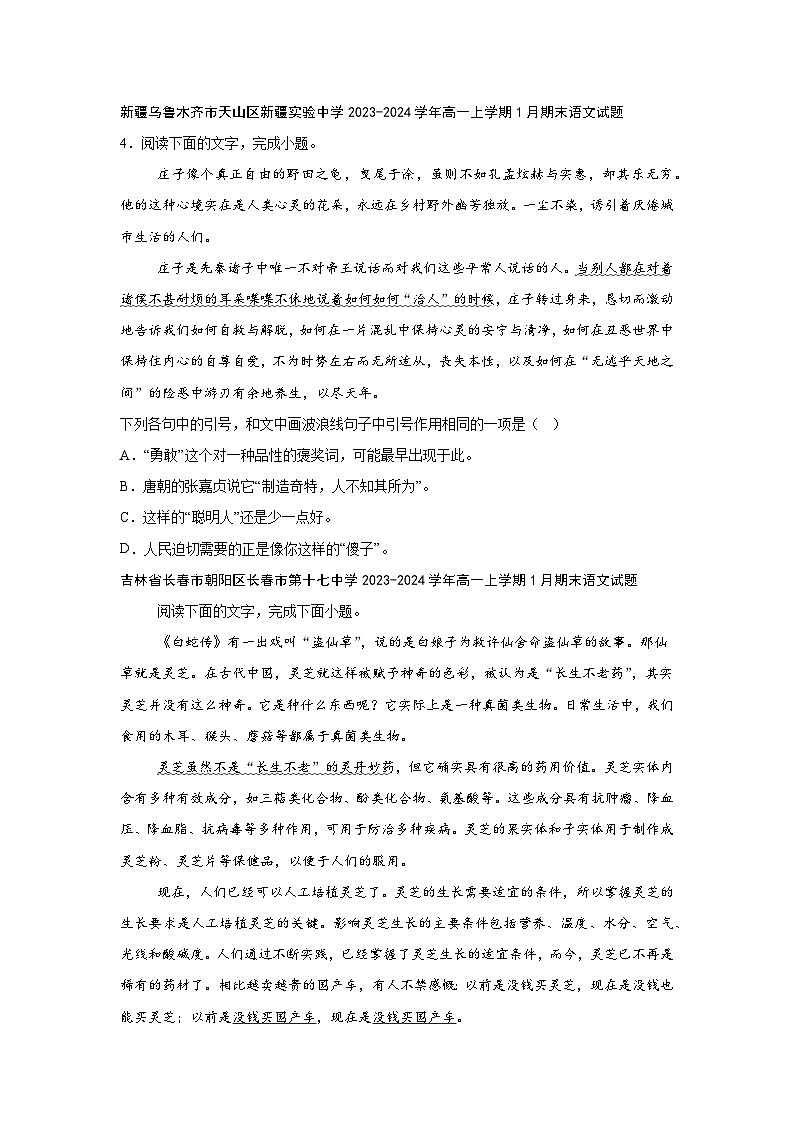 2024-2025学年高一上学期语文期末复习考点专练-语言文字运用之标点符号第2页