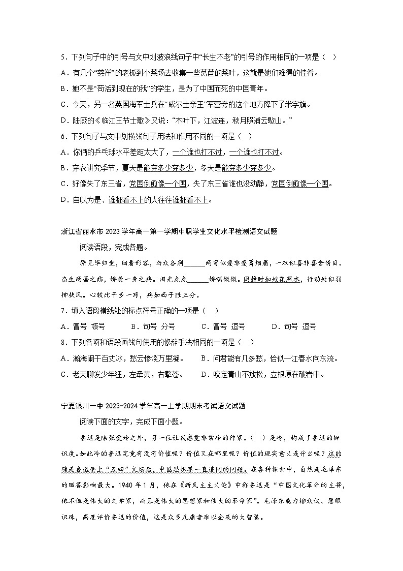 2024-2025学年高一上学期语文期末复习考点专练-语言文字运用之标点符号第3页