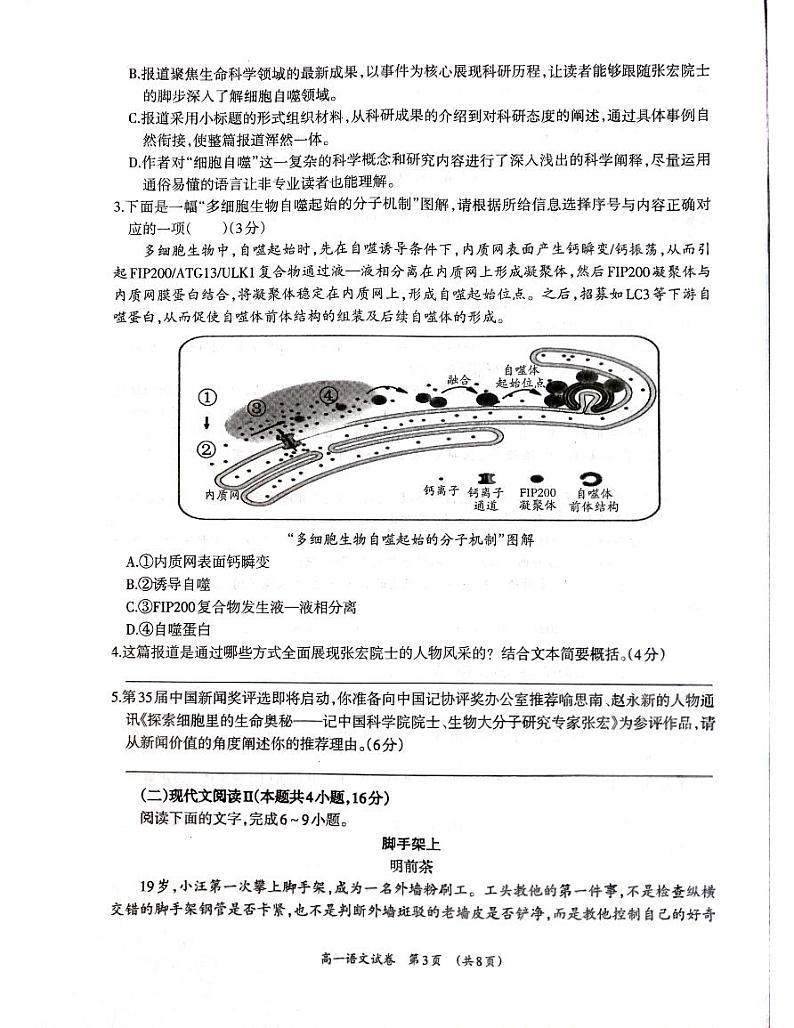 高一语第3页
