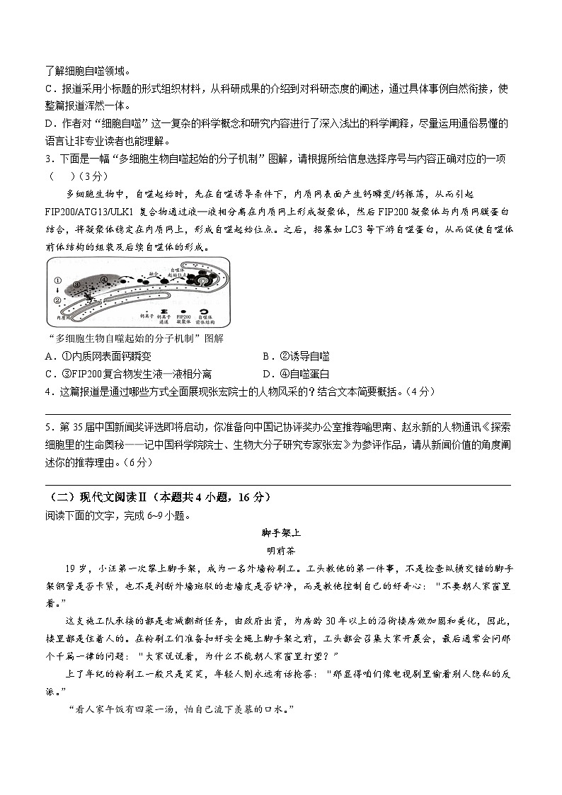 广西壮族自治区柳州市2024-2025学年高一上学期12月月考语文试题第3页
