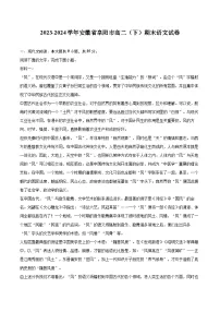 2023-2024学年安徽省阜阳市高二（下）期末语文试卷（含详细答案解析）