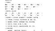 高中语文3 老人与海学案及答案