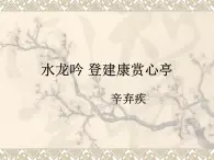 《水龙吟　登建康赏心亭》名师课件