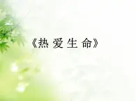 《热爱生命》名师课件