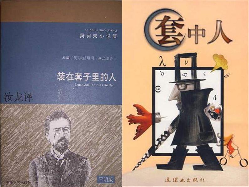 人教版(新课标)高中语文必修五《装在套子里的人》参考课件第5页